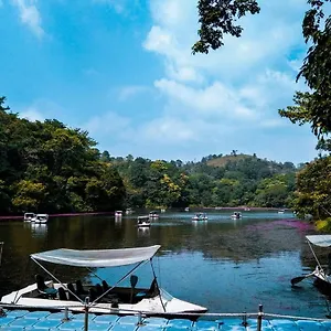 Wayanad Snow Vibes Holiday home